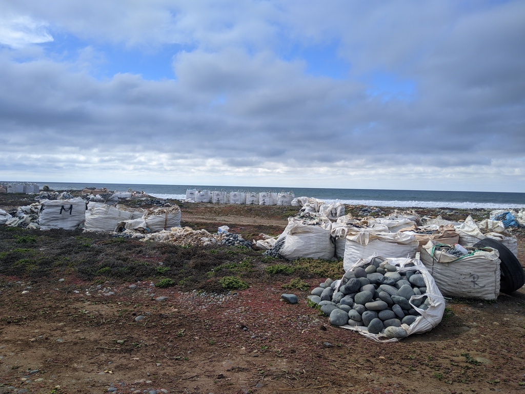 on the rock picker coast