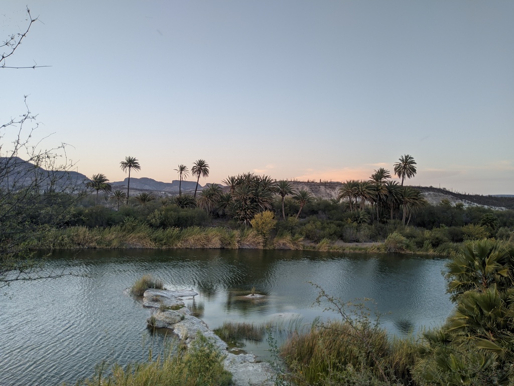 a desert oasis out a story book